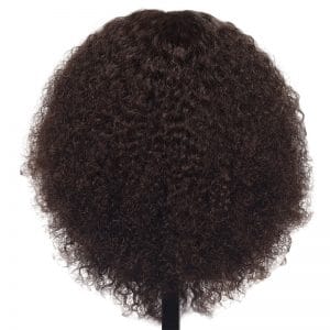 Pivot Point Maya Training Head hair mannequins Pivot Point