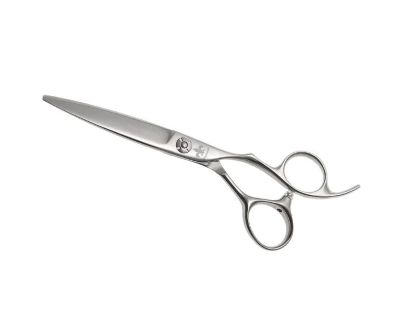 Passion Cobalt Aqua Scissor Hair Dressing Scissors Cobalt Scissor